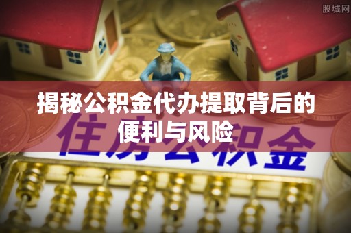 苏澳揭秘公积金代办提取背后的便利与风险