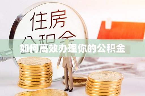 苏澳如何高效办理你的公积金