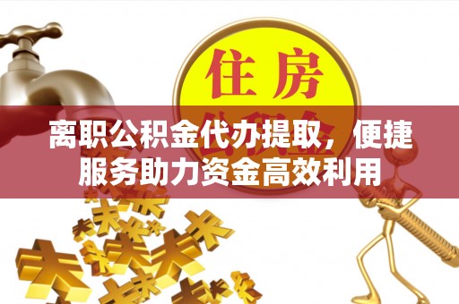 苏澳离职公积金代办提取，便捷服务助力资金高效利用