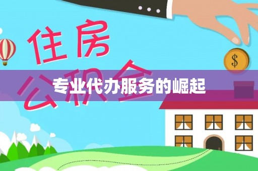 苏澳专业代办服务的崛起