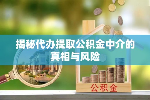 苏澳揭秘代办提取公积金中介的真相与风险
