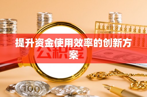 苏澳提升资金使用效率的创新方案