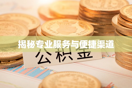苏澳揭秘专业服务与便捷渠道