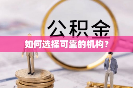 苏澳如何选择可靠的机构？