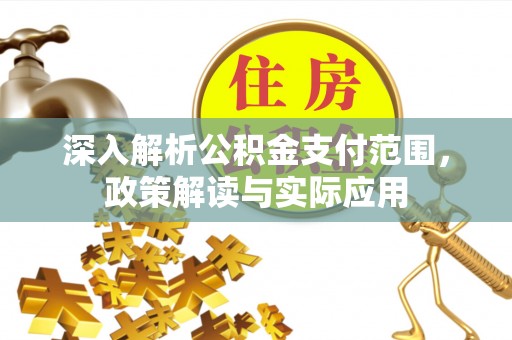 苏澳深入解析公积金支付范围，政策解读与实际应用