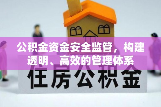 苏澳公积金资金安全监管，构建透明、高效的管理体系