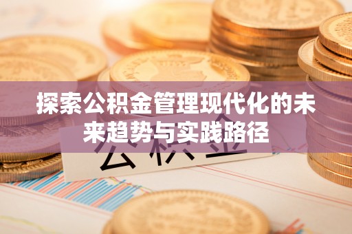 苏澳探索公积金管理现代化的未来趋势与实践路径