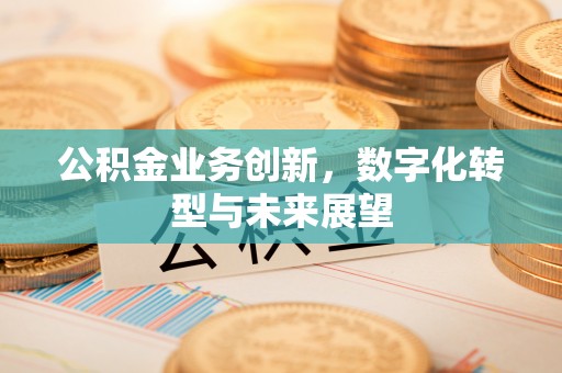 苏澳公积金业务创新，数字化转型与未来展望