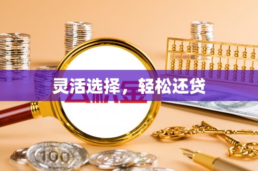 苏澳灵活选择，轻松还贷