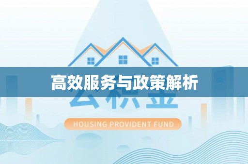 苏澳高效服务与政策解析