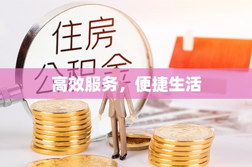 苏澳高效服务，便捷生活