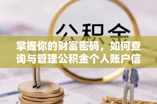 苏澳掌握你的财富密码，如何查询与管理公积金个人账户信息