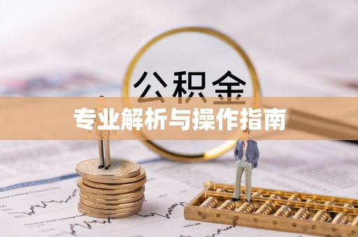 苏澳专业解析与操作指南