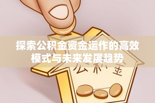 苏澳探索公积金资金运作的高效模式与未来发展趋势