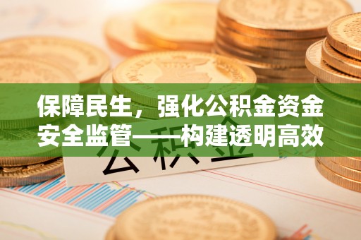 苏澳保障民生，强化公积金资金安全监管——构建透明高效的管理体系