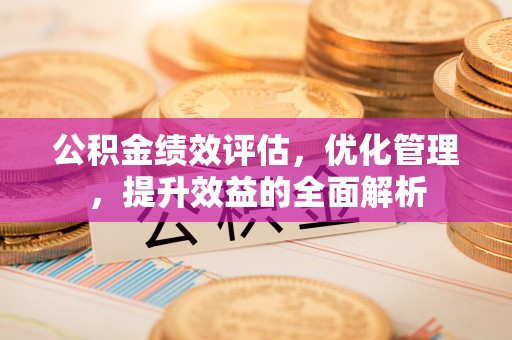 苏澳公积金绩效评估，优化管理，提升效益的全面解析
