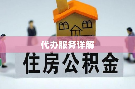 苏澳代办服务详解