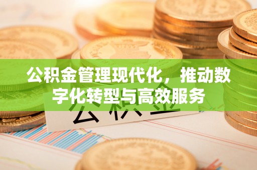 苏澳公积金管理现代化，推动数字化转型与高效服务