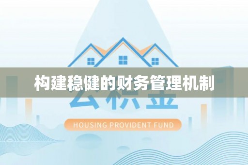 苏澳构建稳健的财务管理机制