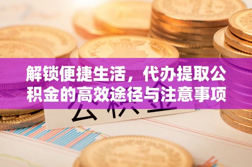 苏澳解锁便捷生活，代办提取公积金的高效途径与注意事项