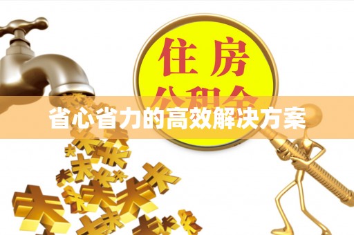 苏澳省心省力的高效解决方案