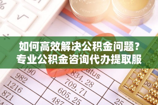 苏澳如何高效解决公积金问题？专业公积金咨询代办提取服务来帮你