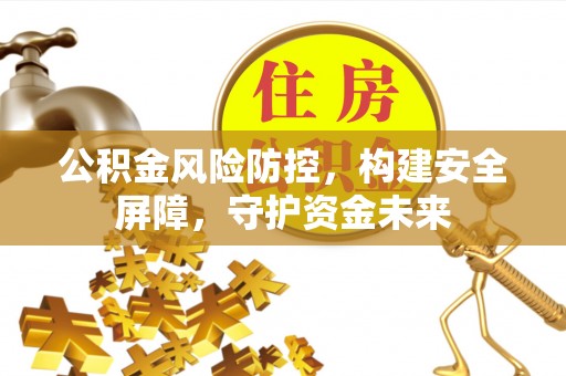 苏澳公积金风险防控，构建安全屏障，守护资金未来