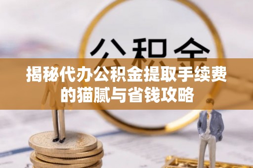 苏澳揭秘代办公积金提取手续费的猫腻与省钱攻略