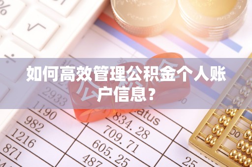苏澳如何高效管理公积金个人账户信息？