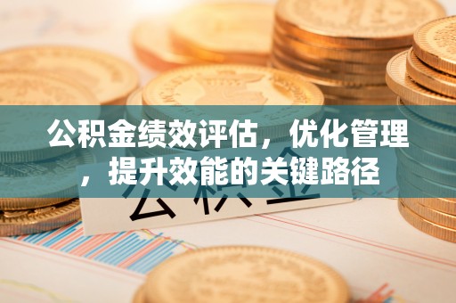 苏澳公积金绩效评估，优化管理，提升效能的关键路径