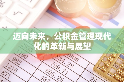 苏澳迈向未来，公积金管理现代化的革新与展望