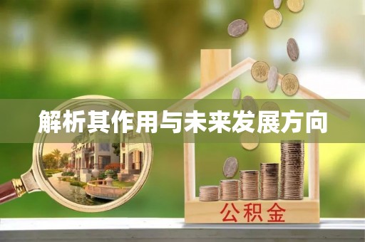 苏澳解析其作用与未来发展方向