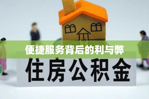 苏澳便捷服务背后的利与弊