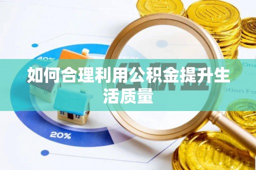 苏澳如何合理利用公积金提升生活质量