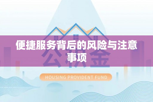 苏澳便捷服务背后的风险与注意事项