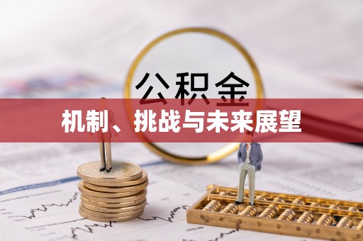 苏澳机制、挑战与未来展望